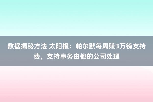 数据揭秘方法 太阳报：帕尔默每周赚3万镑支持费，支持事务由他的公司处理